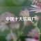 中國(guó)十大軟磁廠