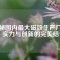 探秘國內(nèi)最大磁鐵生產(chǎn)廠家：實力與創(chuàng)新的完美結(jié)合