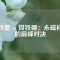 釤鐵氮 vs 釹鐵硼：永磁材料的巔峰對(duì)決