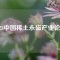 2023中國(guó)稀土永磁產(chǎn)業(yè)論壇