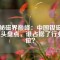揭秘磁界巔峰：中國(guó)釹磁鐵巨頭盤(pán)點(diǎn)，誰(shuí)占據(jù)了行業(yè)C位？