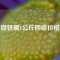 釹鐵硼1公斤回收價格