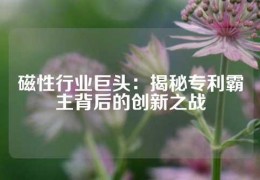 磁性行業(yè)巨頭：揭秘專(zhuān)利霸主背后的創(chuàng)新之戰(zhàn)