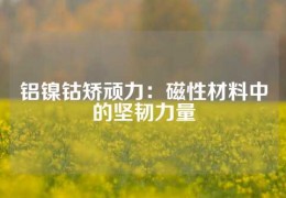 鋁鎳鈷矯頑力：磁性材料中的堅韌力量