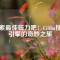 探索最佳磁力吧：Ciliba搜索引擎的奇妙之旅