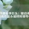 釹鐵硼磁體巨頭：驅(qū)動未來的高性能永磁材料領(lǐng)導(dǎo)者