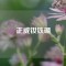正威釹鐵硼