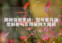 揭秘強(qiáng)磁奧秘：型號(hào)差異深度解析與實(shí)用案例大揭秘
