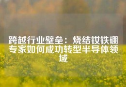 跨越行業(yè)壁壘：燒結(jié)釹鐵硼專家如何成功轉(zhuǎn)型半導體領(lǐng)域