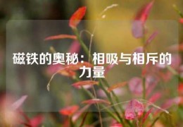 磁鐵的奧秘：相吸與相斥的力量
