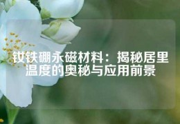 釹鐵硼永磁材料：揭秘居里溫度的奧秘與應(yīng)用前景