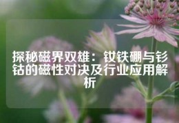 探秘磁界雙雄：釹鐵硼與釤鈷的磁性對(duì)決及行業(yè)應(yīng)用解析