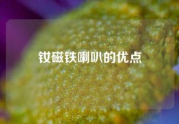 釹磁鐵喇叭的優(yōu)點(diǎn)