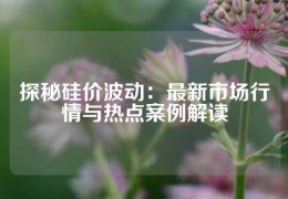 探秘硅價波動：最新市場行情與熱點案例解讀