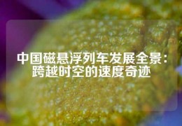 中國磁懸浮列車發(fā)展全景：跨越時空的速度奇跡