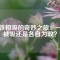 磁鐵相吸的奇妙之旅：一起被吸還是各自為政？