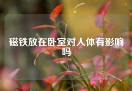磁鐵放在臥室對(duì)人體有影響嗎