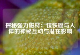 探秘強(qiáng)力磁材：釹鐵硼與人體的神秘互動(dòng)與潛在影響