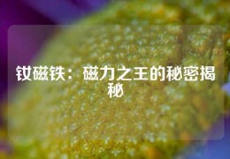 釹磁鐵：磁力之王的秘密揭秘