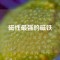 磁性最強的磁鐵