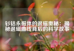 釤鈷永磁體的退磁奧秘：揭秘退磁曲線(xiàn)背后的科學(xué)故事