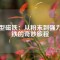 瓦型磁鐵：從粉末到強(qiáng)力磁鐵的奇妙旅程