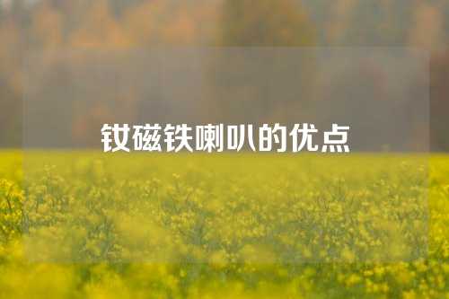 釹磁鐵喇叭的優(yōu)點