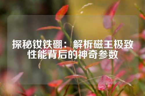 探秘釹鐵硼：解析磁王極致性能背后的神奇參數(shù)
