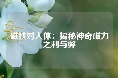 磁鐵對人體:揭秘神奇磁力之利與弊