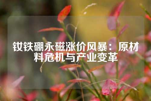 釹鐵硼永磁漲價風暴:原材料危機與產業(yè)變革
