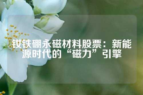 釹鐵硼永磁材料股票:新能源時代的“磁力”引擎
