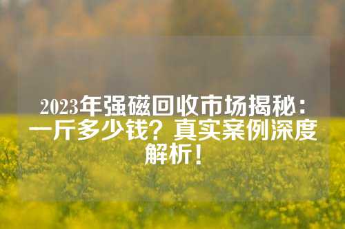 2023年強磁回收市場揭秘：一斤多少錢？真實案例深度解析！