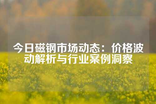 今日磁鋼市場動態(tài)：價(jià)格波動解析與行業(yè)案例洞察