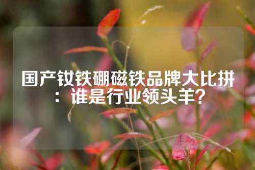 國(guó)產(chǎn)釹鐵硼磁鐵品牌大比拼:誰(shuí)是行業(yè)領(lǐng)頭羊?