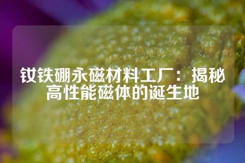 釹鐵硼永磁材料工廠:揭秘高性能磁體的誕生地