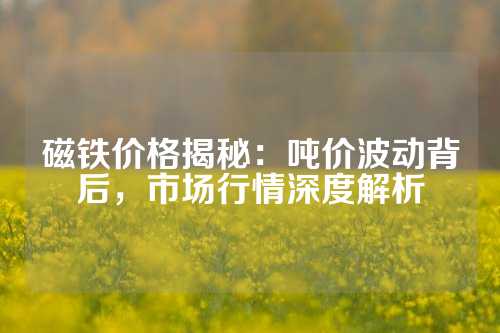 磁鐵價格揭秘:噸價波動背后,市場行情深度解析