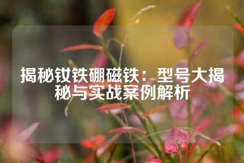 揭秘釹鐵硼磁鐵:型號大揭秘與實戰(zhàn)案例解析