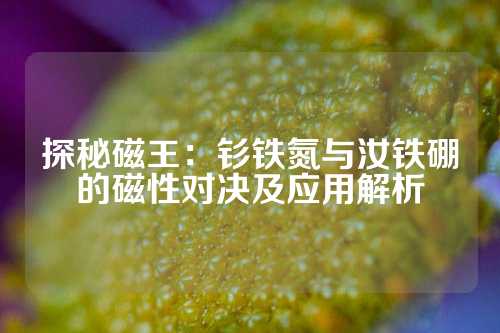 探秘磁王：釤鐵氮與汝鐵硼的磁性對決及應(yīng)用解析