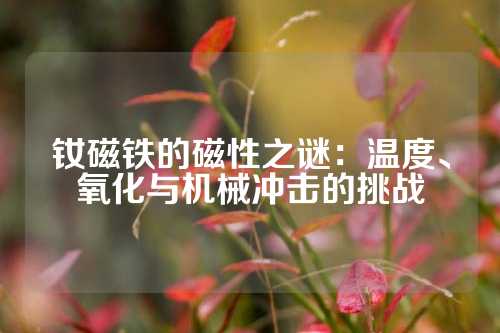 釹磁鐵的磁性之謎：溫度、氧化與機(jī)械沖擊的挑戰(zhàn)