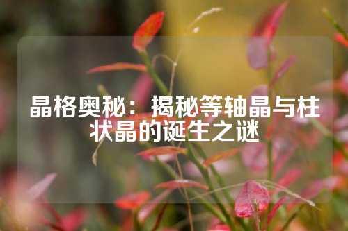 晶格奧秘：揭秘等軸晶與柱狀晶的誕生之謎