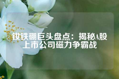 釹鐵硼巨頭盤(pán)點(diǎn):揭秘A股上市公司磁力爭(zhēng)霸戰(zhàn)