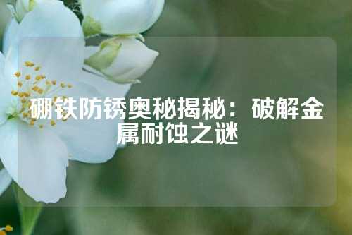 硼鐵防銹奧秘揭秘:破解金屬耐蝕之謎