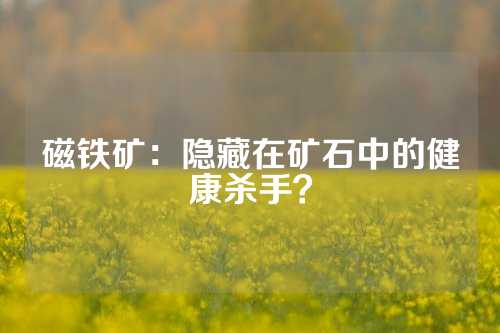 磁鐵礦:隱藏在礦石中的健康殺手?