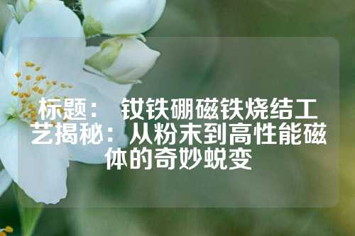 標題: 釹鐵硼磁鐵燒結工藝揭秘:從粉末到高性能磁體的奇妙蛻變