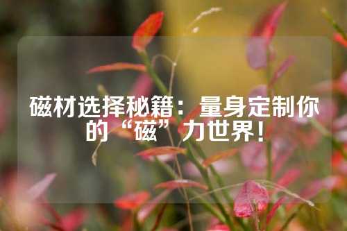 磁材選擇秘籍:量身定制你的“磁”力世界!