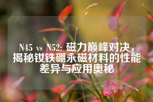 N45 vs N52: 磁力巔峰對決,揭秘釹鐵硼永磁材料的性能差異與應(yīng)用奧秘