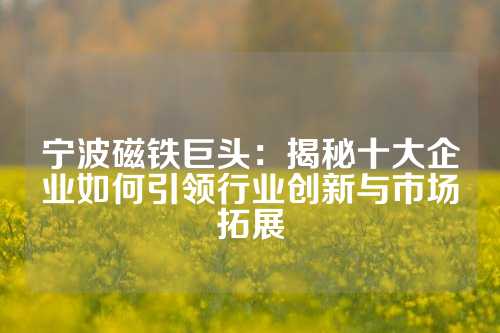 寧波磁鐵巨頭:揭秘十大企業(yè)如何引領(lǐng)行業(yè)創(chuàng)新與市場拓展