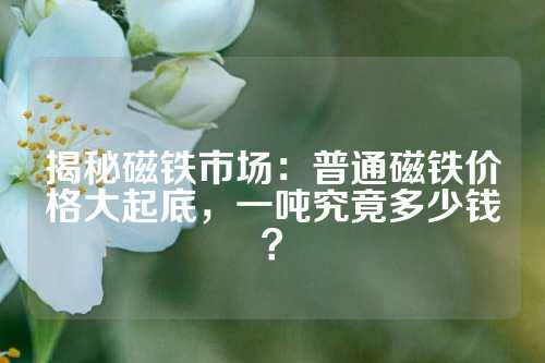 揭秘磁鐵市場:普通磁鐵價格大起底,一噸究竟多少錢?