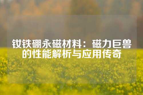 釹鐵硼永磁材料:磁力巨獸的性能解析與應用傳奇