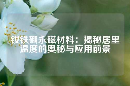 釹鐵硼永磁材料:揭秘居里溫度的奧秘與應(yīng)用前景